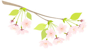 フリー素材 イラスト 春 桜 桜の枝 無料 商用可 PNG