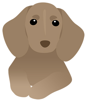 犬 ダックスフント ミニチュアダックス フリー素材 イラスト 冬 正月 干支 戌年 無料 商用可 PNG